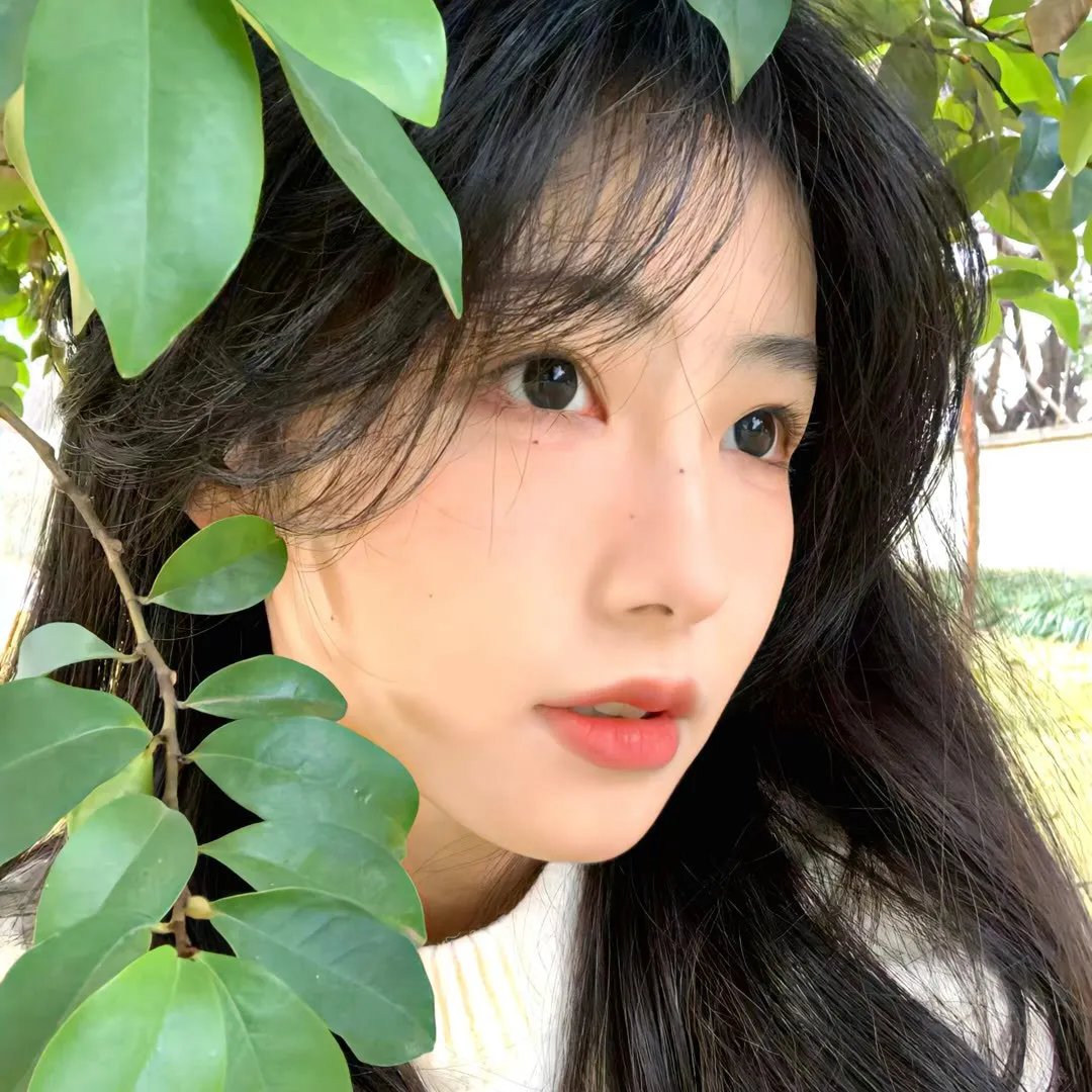 郡王与我心相照