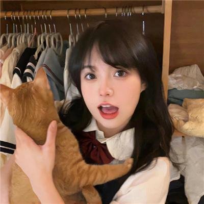 电视剧集
